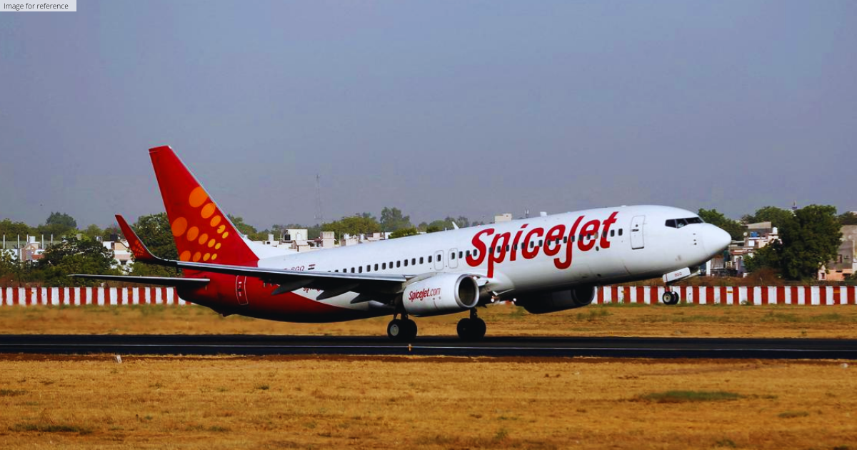 DGCA orders SpiceJet to operate just 50% of approved flights for 8 weeks